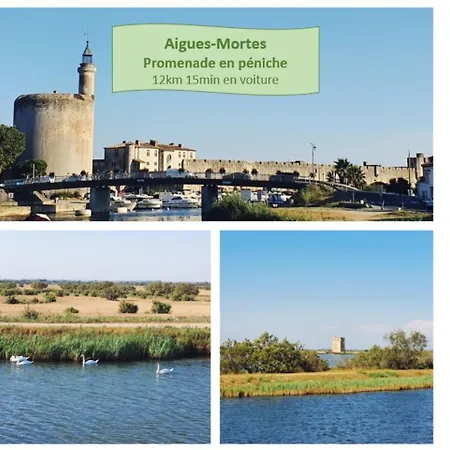 Cosy Pour 2 Climatisation Wifi Au Point Zero - Rossiconciergerie - Linge Inclus Διαμέρισμα Λα Γκραντ-Μοτ