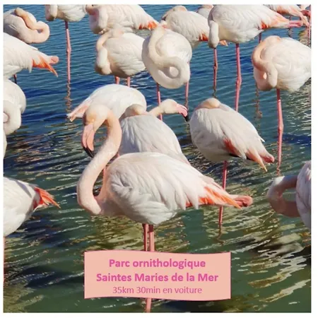 Cosy Pour 2 Climatisation Wifi Au Point Zero - Rossiconciergerie - Linge Inclus *